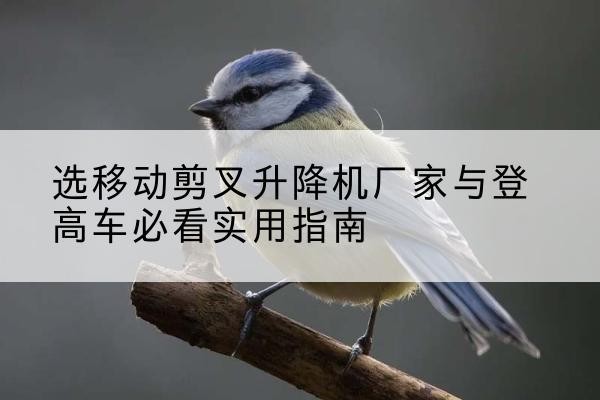 普兰店电动升降机厂家-选移动剪叉升降机厂家与登高车必看实用指南