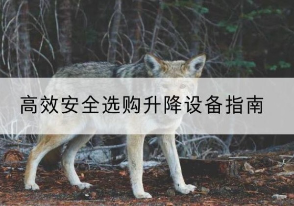 普兰店升降货梯厂家推荐-*安全选购升降设备指南